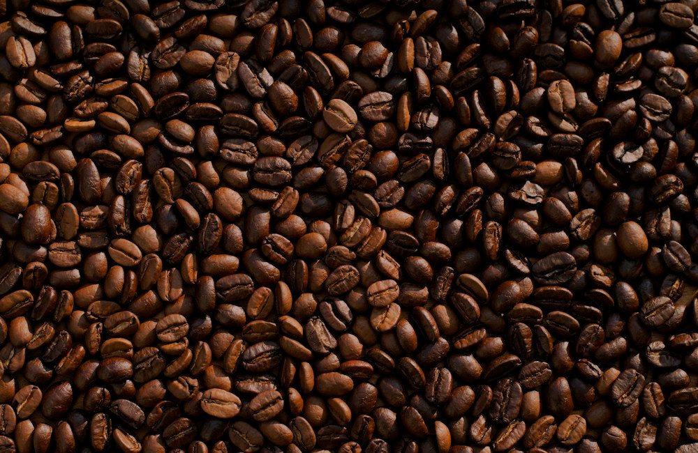 Maria & Fred at Gitana Cafe Hermosa Beach